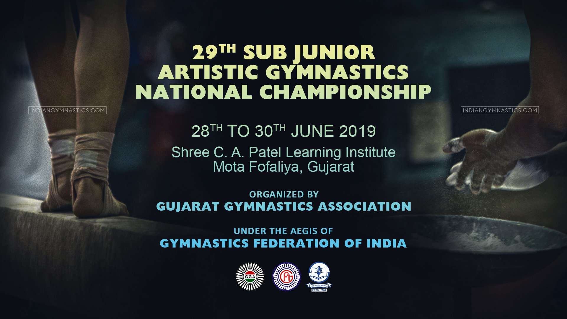 29th Sub Junior Artistic Gymnastics National Championship